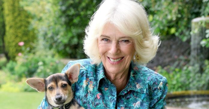 vasilissa kamilla r 1200x630.jpg