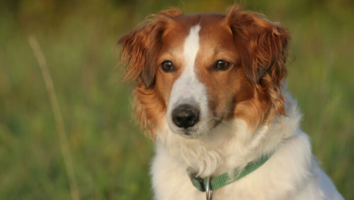 Τι πρέπει να κάνεις και τι να μην κάνεις όταν.jpg Τι πρέπει να κάνεις και τι να μην κάνεις όταν.jpg