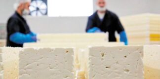 1758229491 feta 1.jpg