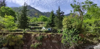 1b36b273 makra logga.webp.webp