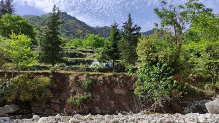 1b36b273 makra logga.webp.webp