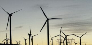 2025 08 21T162516Z 1484946322 RC2UIAAFWH3P RTRMADP 5 USA TRUMP WIND TURBINES 620x350.jpg