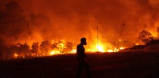 21 0028 20230821 kts1236 sooc1692652631 620x350.jpg