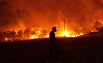 21 0028 20230821 kts1236 sooc1692652631 620x350.jpg