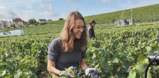 2ee490179dbbdef6142fa969a62eb465 L.jpg