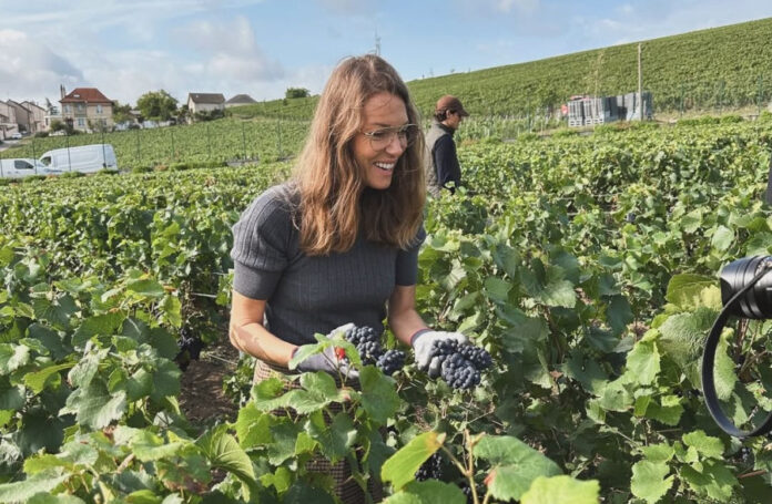 2ee490179dbbdef6142fa969a62eb465 L.jpg