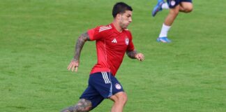 4758545 scaled e1757091284466.jpg