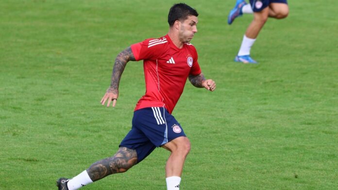 4758545 scaled e1757091284466.jpg