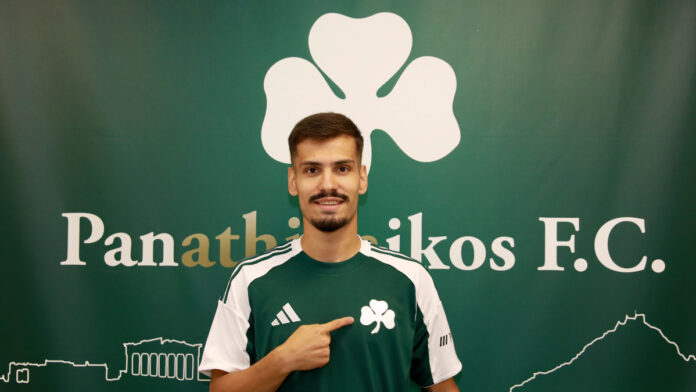 4781803 1.jpg 4781803 1.jpg