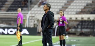 4808156 scaled e1758399209703.jpg