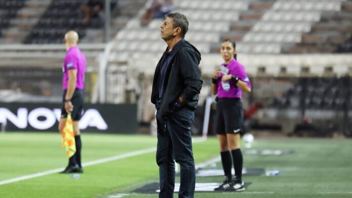 4808156 scaled e1758399209703.jpg