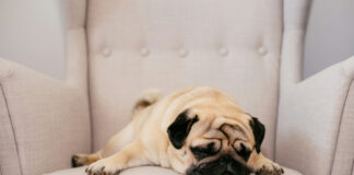 7a1e43f8af59c0d1c075d9ef1f9c8cb5 L.jpg