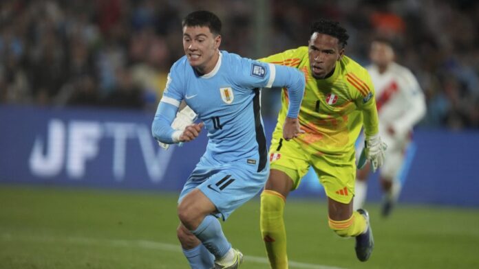 AP25247860116258 scaled e1757312407245.jpg