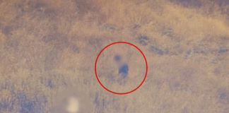 Capture 204.png