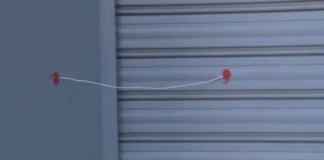 Capture 224.png