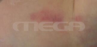 Capture 86.jpg