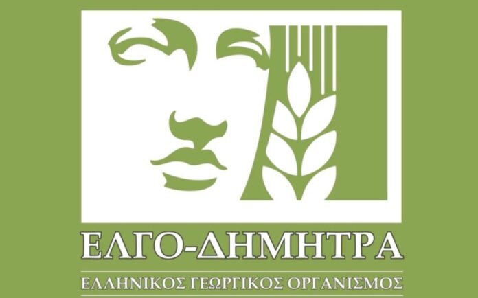ELGO DIMHTRA 1.jpg