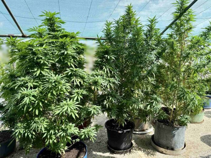 FOTO 2.jpg FOTO 2.jpg