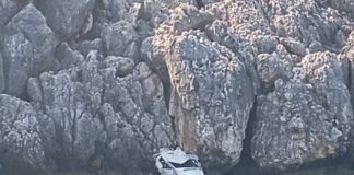 IMG 0112.jpeg