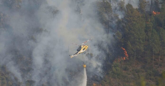 ap25229694250456 2 1200x630.jpg