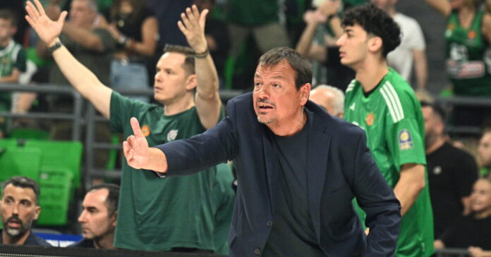 ataman 5 1200x630.jpg