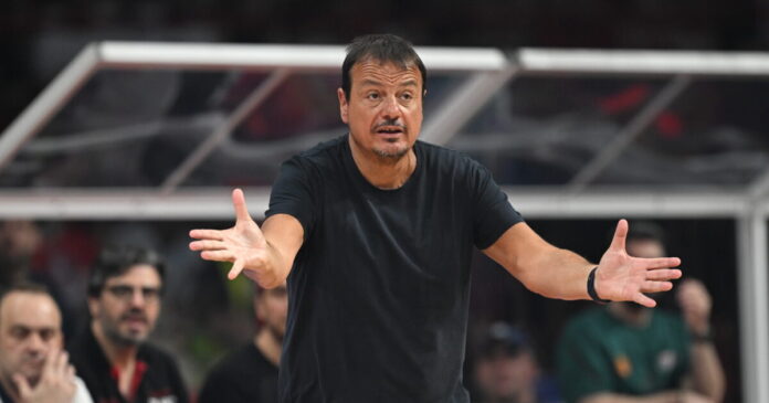 ataman 6 1200x630.jpg