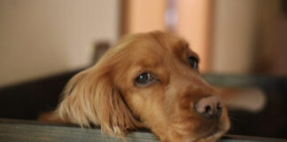 b4f22a1eb0c950e60293985a03c888cd L.jpg