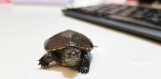 b9f8e38ba662608eaf8b399c7b77b042 L.jpg