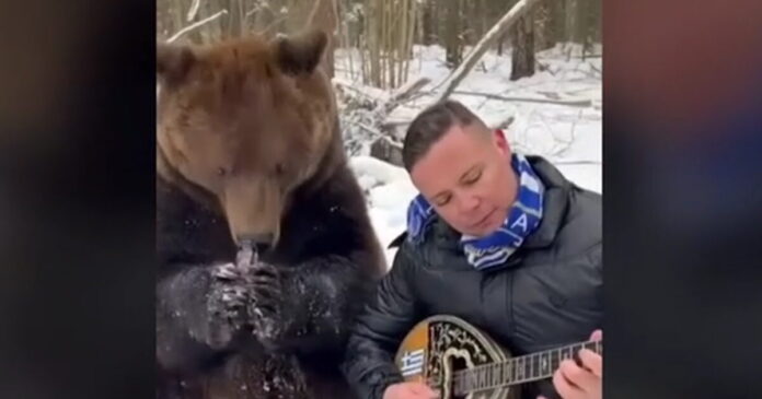 bouzouki arkouda 1200x630.jpg bouzouki arkouda 1200x630.jpg