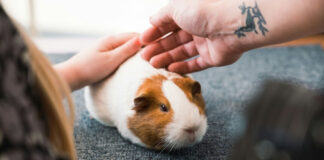 ca6c7bff6e1b0a6480e0d70037458d1a L.jpg