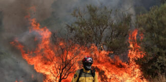 climate reuters 1200x630.jpg