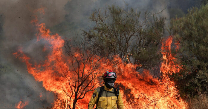 climate reuters 1200x630.jpg