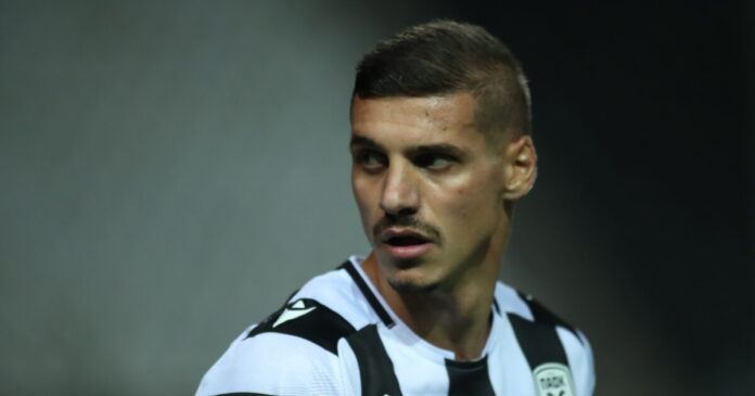 despodov 1200x630.jpg