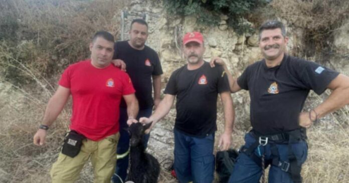 diasosi katsikiou pirosvestes4 1 1200x630.jpg