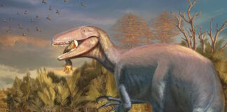 dinosaure ap 23092025 1200x630.jpg