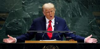 donald trump 12 1200x630.jpg