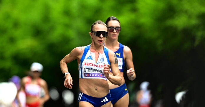 drisbioti 1200x630.jpg