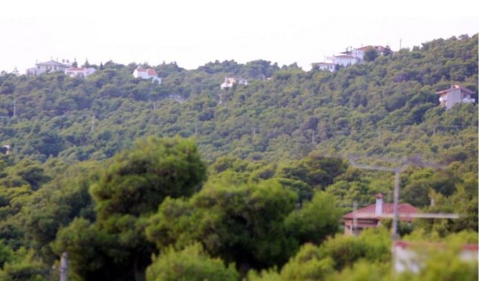 ektaseis 1.jpg ektaseis 1.jpg