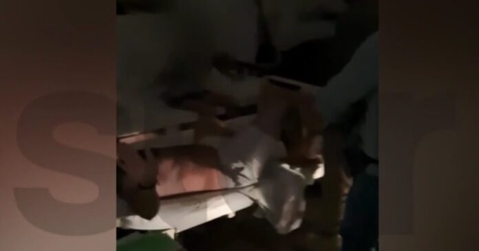 eleusina narkwtika 1200x630.jpg