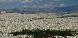 epidoma stegasis 6.jpg