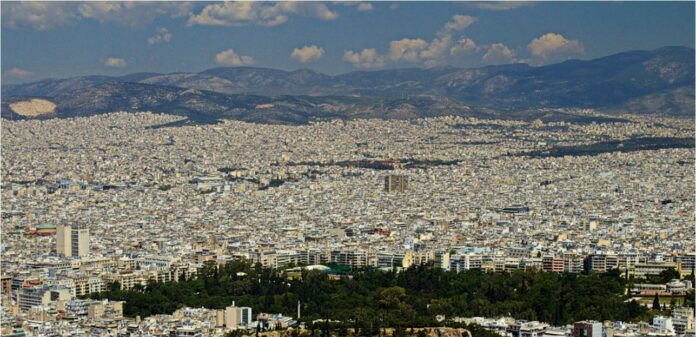 epidoma stegasis 6.jpg