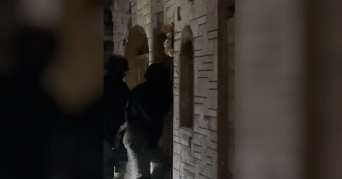 epixeirisi elas1 1200x630.jpg