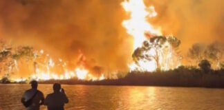 fotia antalya grab 1200x630.jpg