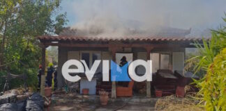 fotia evoia 2 1200x630.jpg