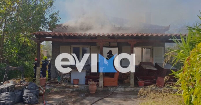 fotia evoia 2 1200x630.jpg fotia evoia 2 1200x630.jpg