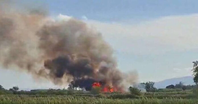 fotia kalamata 1200x630.jpg fotia kalamata 1200x630.jpg