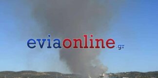 fwtia evoia 1200x630.jpg