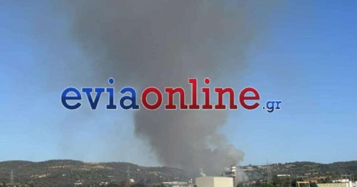 fwtia evoia 1200x630.jpg