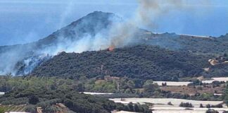 fwtia kavala 1200x630.jpg