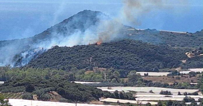 fwtia kavala 1200x630.jpg